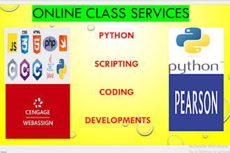 teach you coding, python developments and scripting