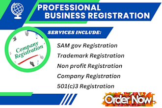 do sam gov, llc, non profit, trademark, company registrations