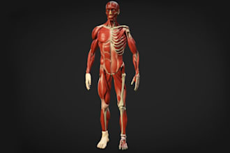 3d human anatomy animation,turn idea into 3d model,modo 3d,3d ue5 character,rig