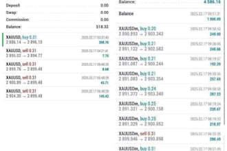 establish advanced profit trading bot,forex trading bot,forex ea,forex robot