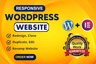 design, redesign, clone, duplicate, revamp website using elementor pro expert