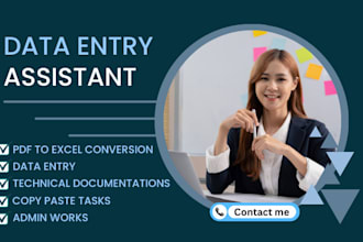 do professional data entry and admin support