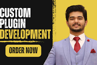 develop customized wordpress plugin