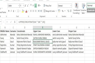 clean, sort, merge, format, organize excel data
