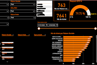 work for you as an excel and or powerbi data analyst