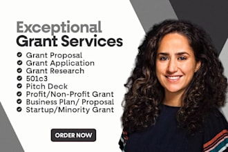 write grant proposal, research, application, pitch deck, business plan