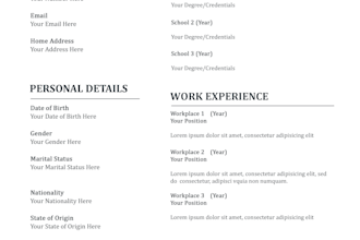 type and design your CV, resume
