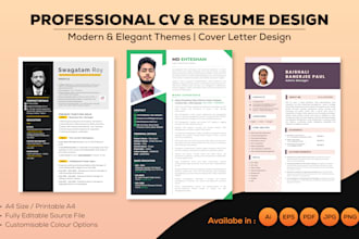 make professional cv, resume and portfolio design