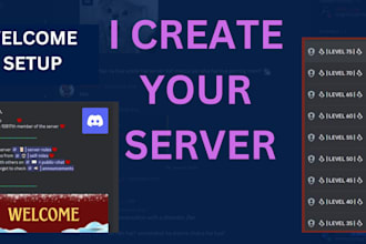 create a professional esports or community discord server