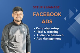 manage your facebook ads campaign, meta ads, instagram ads