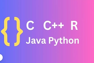 do c cpp java python r studio programming language project