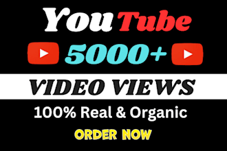 add 1k subscriber in your youtube channel fast organically