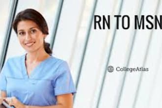 tutor rn, bsn, msn, dnp, ihuman walden college