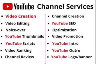be your youtube channel manager as SEO