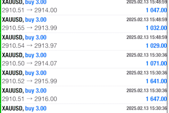 provide forex trading bot, forex ea, forex robot, hft bot