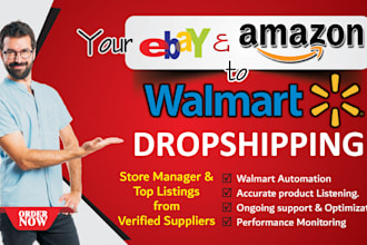 do amazon walmart and ebay dropshiping VA account management
