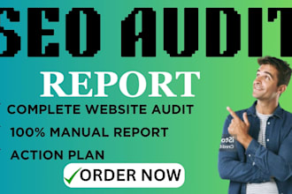 do website SEO audit report and competitor website analysis
