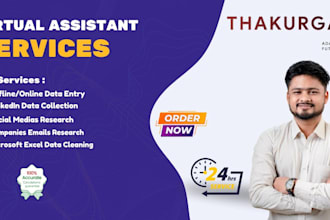 do professional virtual assistant, data entry, web research admin support
