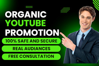 do channel promotion for complete youtube channel monetization video views
