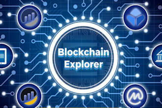 develop a custom blockchain explorer for your network