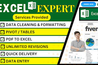 do excel data cleaning, data entry, pivot tables and PDF to excel