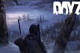 create dayz server with mods and scripts for you and redm server