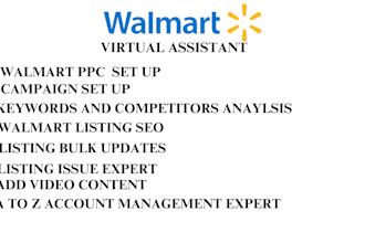 do walmart PPC optimization, campaign setup, boost sales and ROI