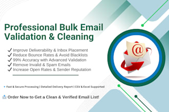 professional bulk email validation and cleaning high accuracy guaranteed