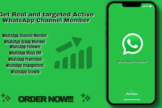 do super fast whatsapp channel promotion, whatsapp growth,mass dm to real member