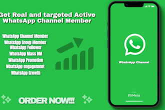 massive whatsapp channel promotion to gain real members, whatsapp group, mass dm
