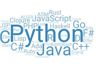 do computer science and programming tasks and projects