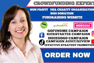 help you with creation of non profit, charity campaign, ngo fundraising website