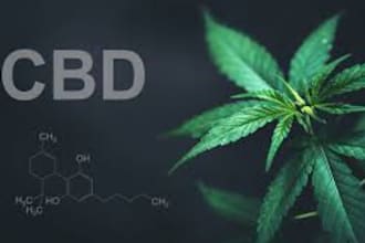 boost your business website, cannabis, marijuana, hemp website and ecommerce web