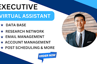 create virtual assistant executive virtual personal assistant social media VA