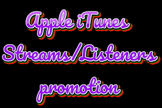 do professional apple itunes promotion for music track