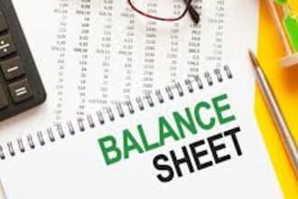 prepare balance sheet, profit and loss and financial projections