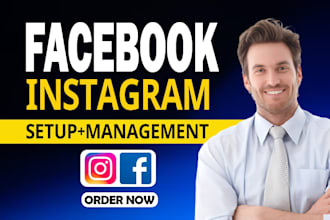setup facebook ads and instagram ads campaign for sales marketing growth