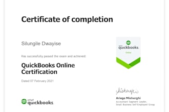 offer expert quickbooks setup and management