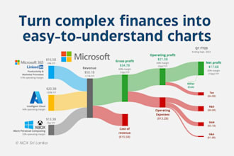design custom sankey flowcharts for financial reports and corporate data