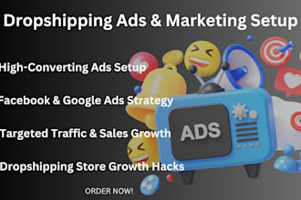 set up a profitable dropshipping marketing and ads strategy