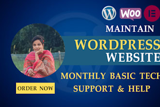 provide wordpress website maintenance and support or help