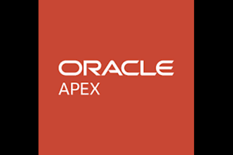 develop a custom oracle apex web application