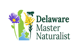 design delaware statewide master naturalist logo