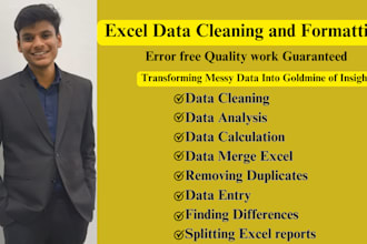 clean, format, merge, split and analyze excel data