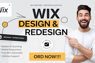 design a professional charity website, non profit website, donation site on wix
