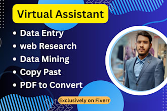 do data entry, virtual assistant, data typing, and pdf to convert