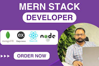 develop a mern stack web app as a mern stack developer