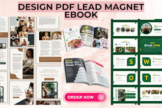 create a PDF lead magnet design, freebies, checklists, leadmagnet, ebook report