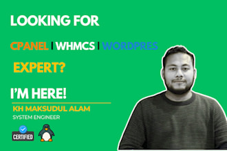 setup or fix dns record, remove ip blacklists, email in spam