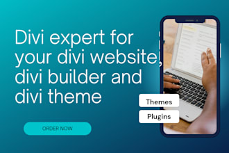 be divi expert for your divi website, divi builder and divi theme